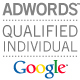 Adwords advertiser professional